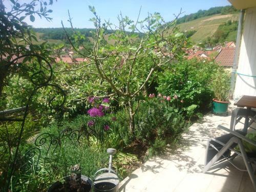 Apartamento Ferienwohnung Sp�th