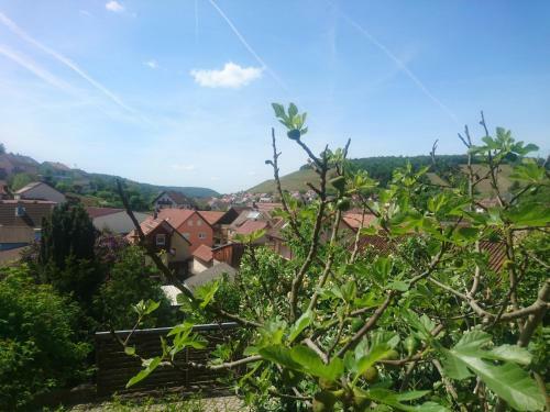 Apartamento Ferienwohnung Sp�th