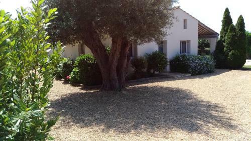 Villa La Tabarine