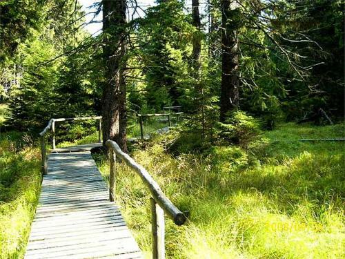 Hostal Pension Zum Hexenstieg