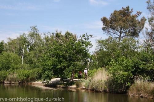 Nice Duplex Apartment With Garden And Terrace For 6 Persons