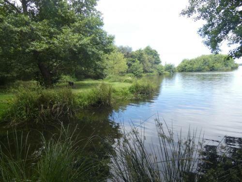 G�te L�on, 3 Pi�ces, 4 Personnes - Fr-1-360-715