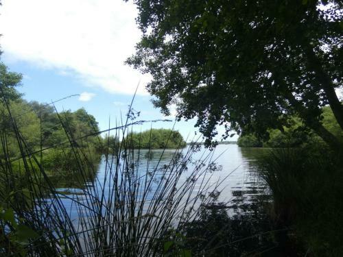 G�te L�on, 3 Pi�ces, 4 Personnes - Fr-1-360-715