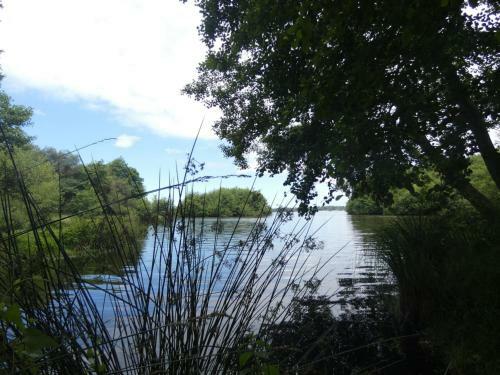 G�te L�on, 3 Pi�ces, 4 Personnes - Fr-1-360-709