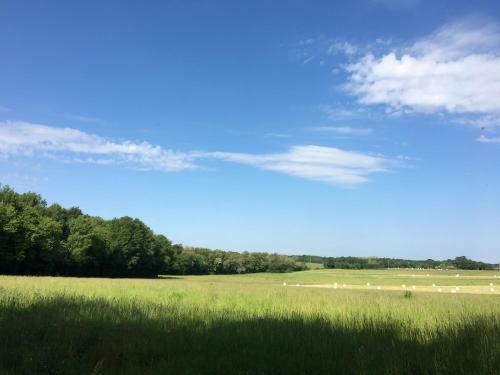 Twin Emperor Tent In Le Vieux Cerier Charente