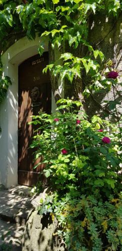 La Troglo Du Ch�teau G�te de Charme 3�toiles