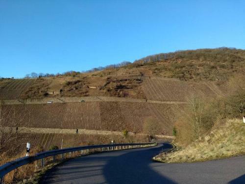 Luxury Holiday Home In Cochem For 14 People