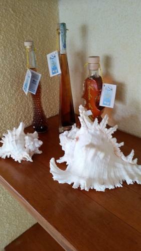 Hotel Corallo