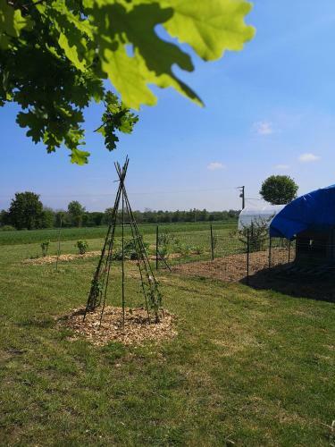G�te de L'hermine ( Le Domaine de Coat Rogan )