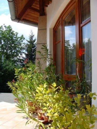 Palatinus Apartmanok