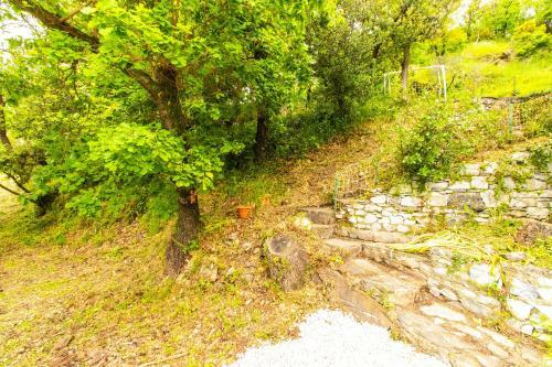 Chiavari Cozy Apartments In Villa With Shared Garden & Parking