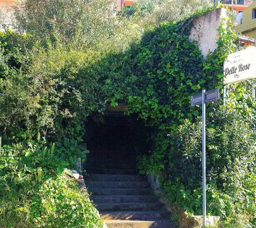 Bed & Breakfast Delle Rose