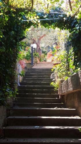 Bed & Breakfast Delle Rose