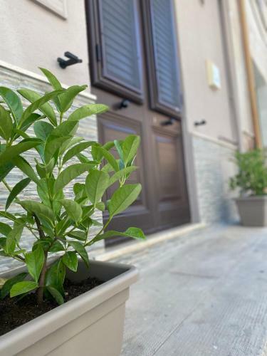Apartamento Casa Domy