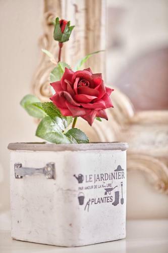 La Rosa