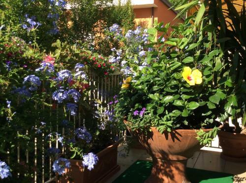 Hotel Donatello