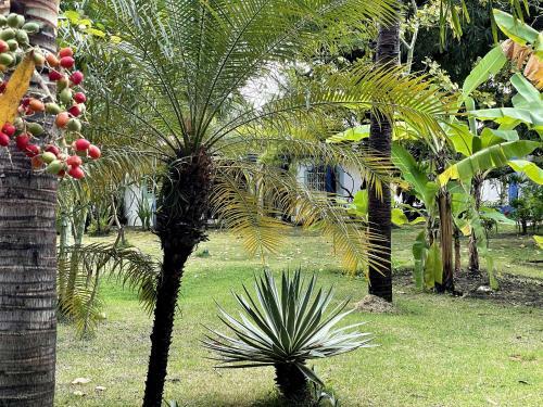 Hotel Villa Ostello Pousada