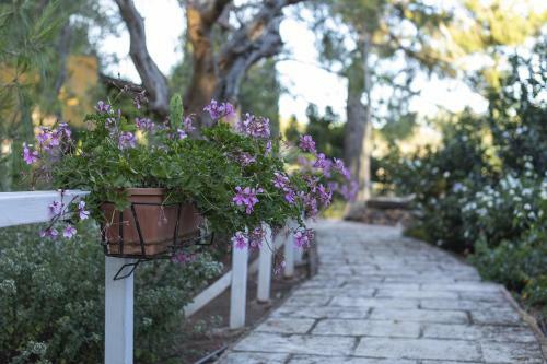 Agroturismo Il Villaggetto