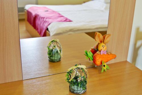 Hostal Term�l Panzi�