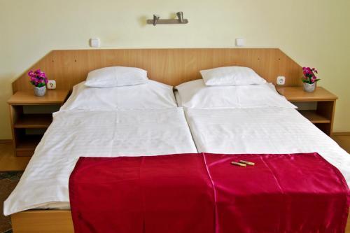 Hostal Term�l Panzi�
