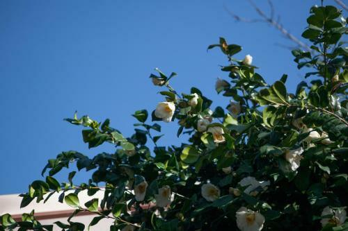 B&B I Corni Di Nibbio