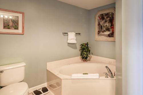 Sterling Shores 313 Destin (Condo)