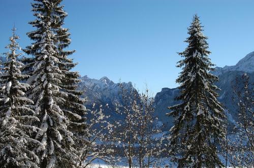 Hotel Stauder