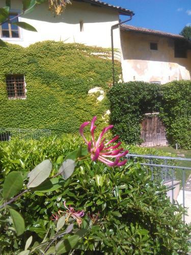 Hostal Relais Palazzo Lodron