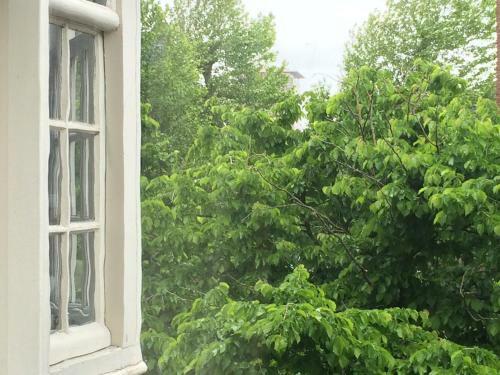 Authentic Amsterdam Apartment Rai