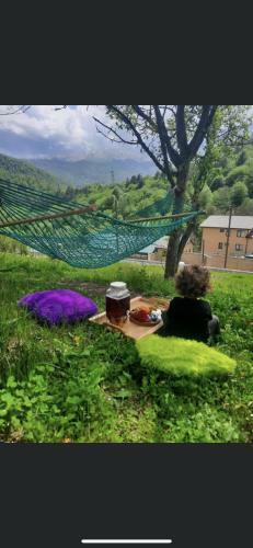 Apartamento Green Guest House In Dilijan