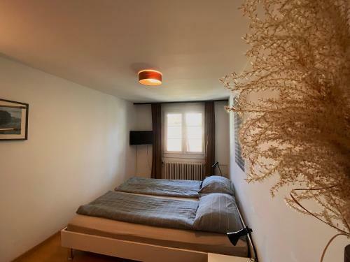 Apartamento Budgetapartment Martinsturm Von Swisspartments