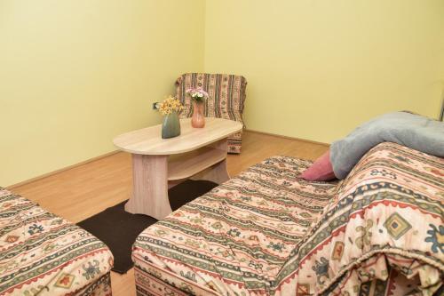 Apartman Vinkov's Center