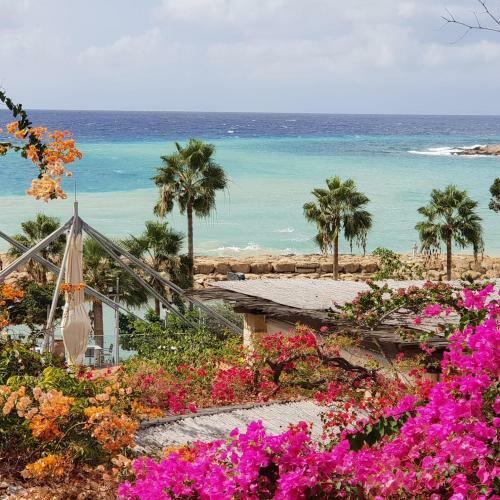 Beautiful Cosy House With A Spectacular Sea View