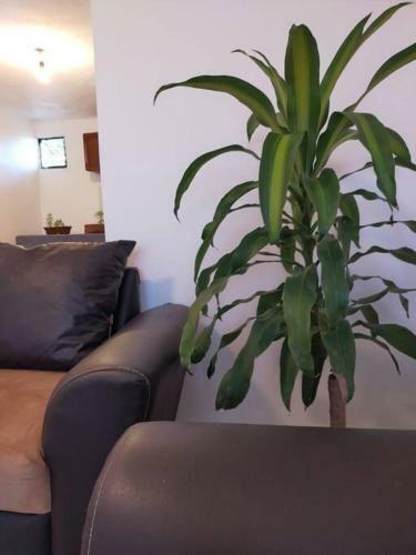 Apartamento Departamento Completo Excelente Ubicacion