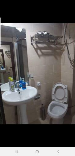 Hotel Mgzavrebi In Bakuriani Apartment