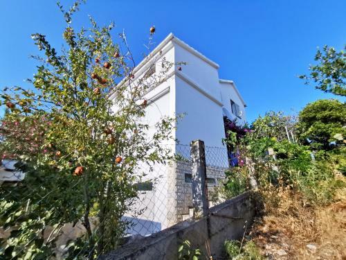 Apartment Ljubica