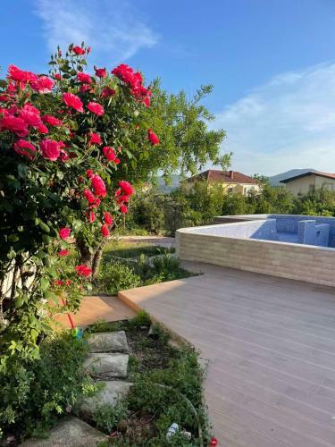 Villa Nili?