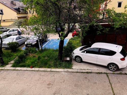 Apartman Sunny
