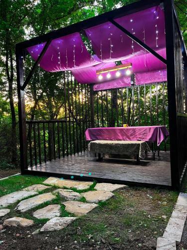 Cabana Vinatorului