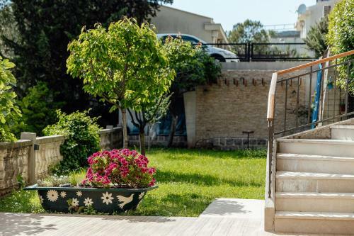 Apartmani Divna