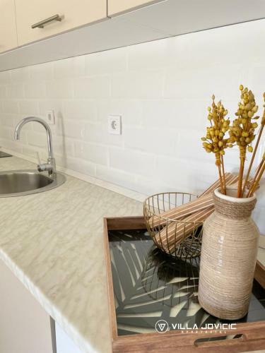Apartamento Villa Jovicic