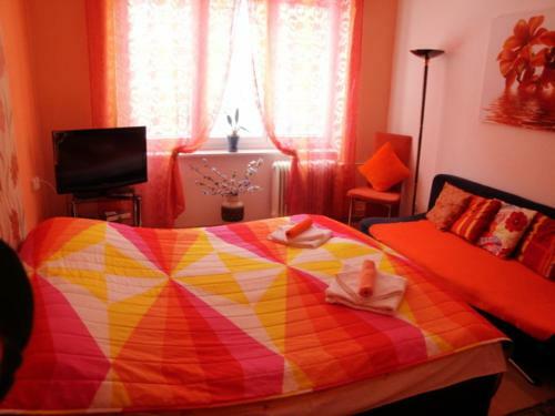 Pavlova Apartment