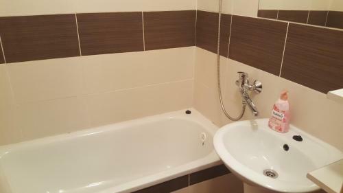 Pavlova Apartment