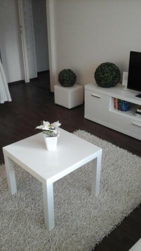 Pavlova Apartment