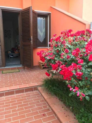 Bed & Breakfast Il Roseto