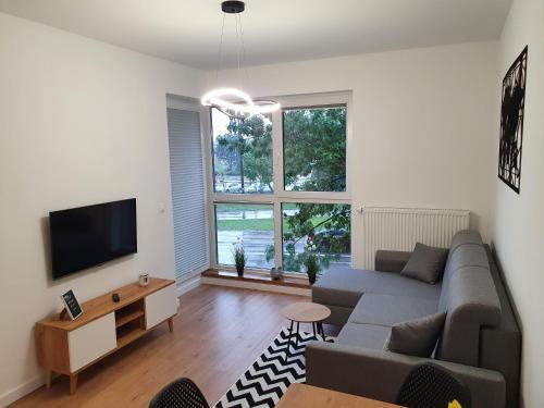 Apartament Rocha
