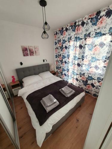 Apartament Rocha