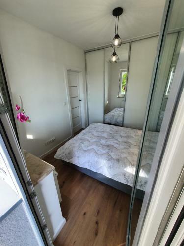 Apartament Rocha