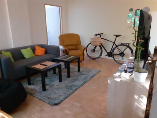 Apartment New Belgrade