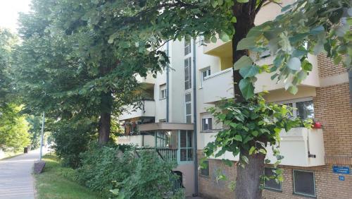 Apartman 11
